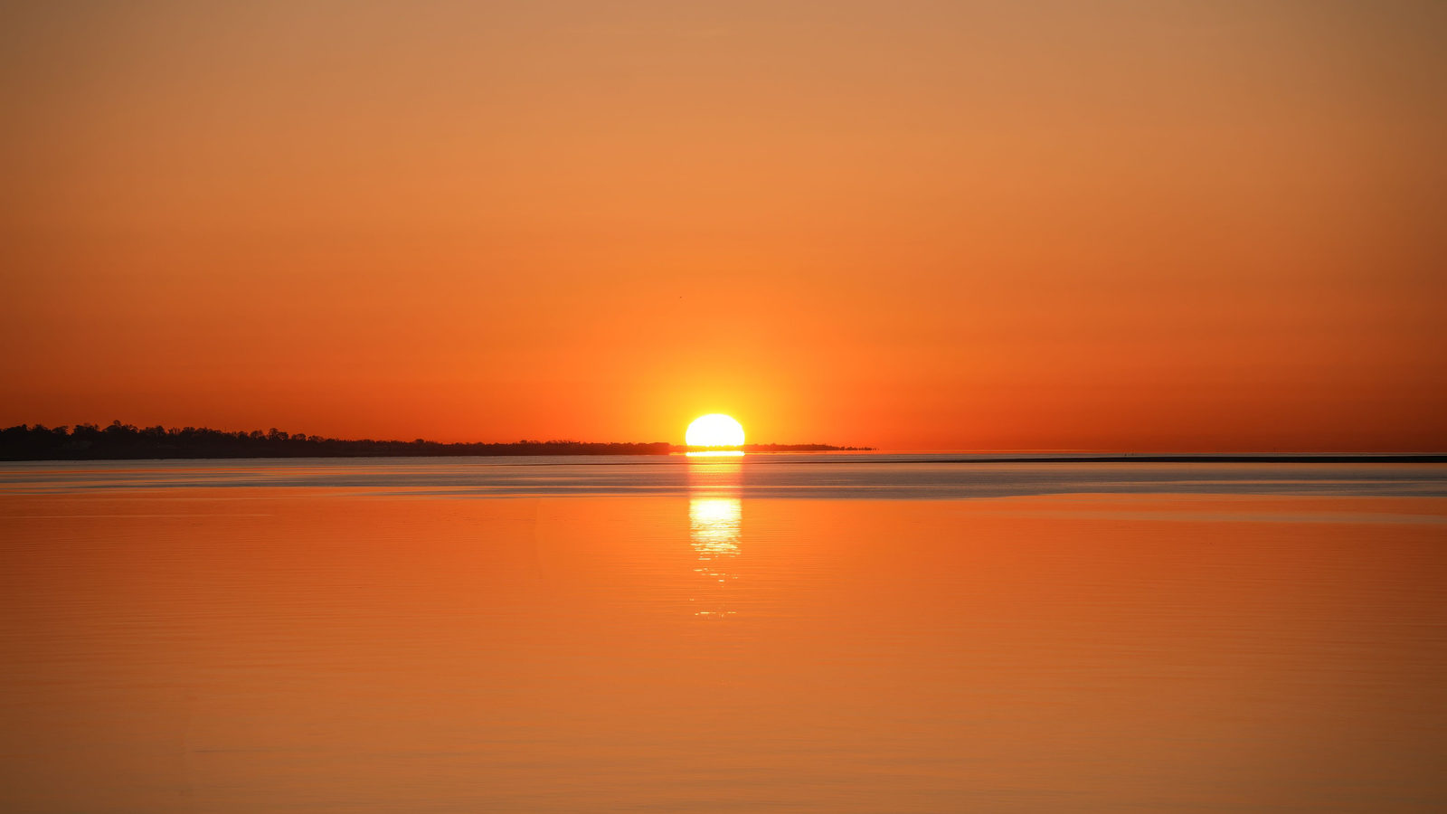 The sun rising over a calm ocean horizon, its golden light reflecting across the water