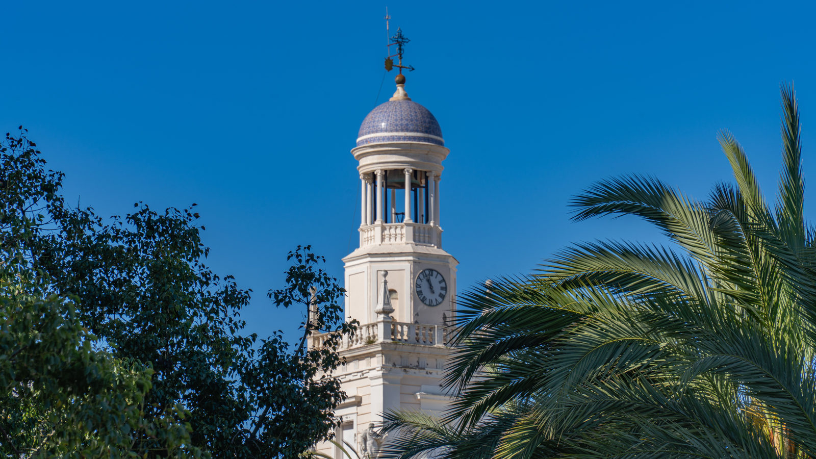 A white clock tower with a domed roof rising above palm trees against a clear blue sky in Cádiz, Spain